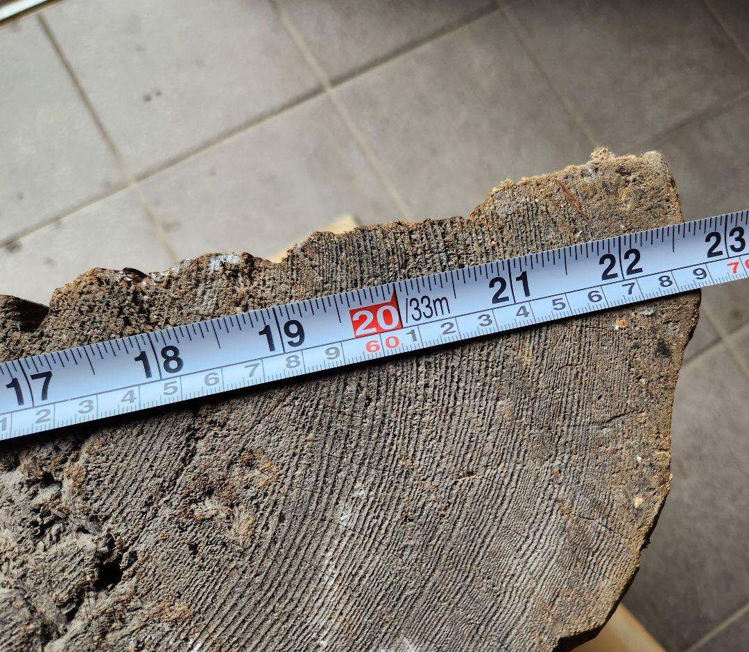 木彫り恵比寿、大黒天　置物