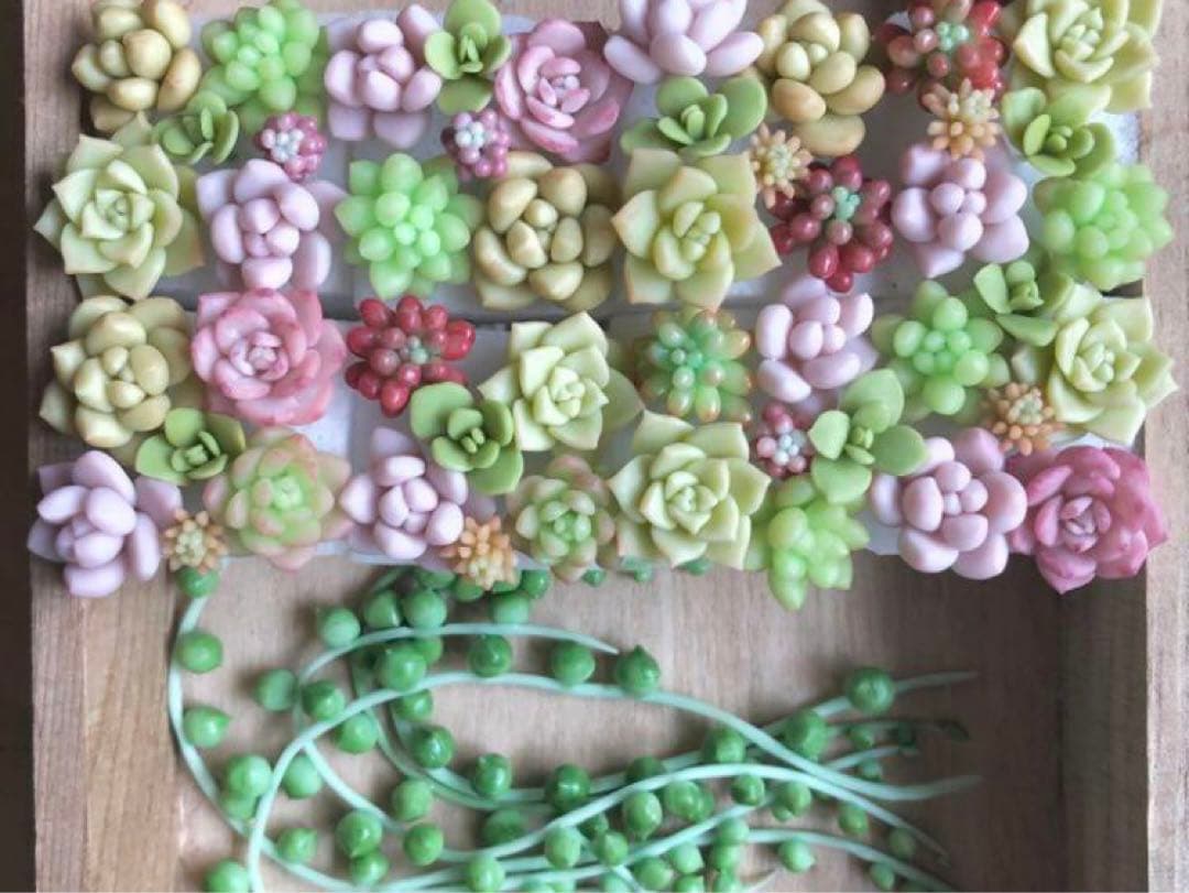 フェイク　多肉植物