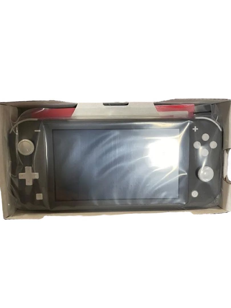 Nintendo Switch Lite グレー本体セット液晶保護フィルム付き