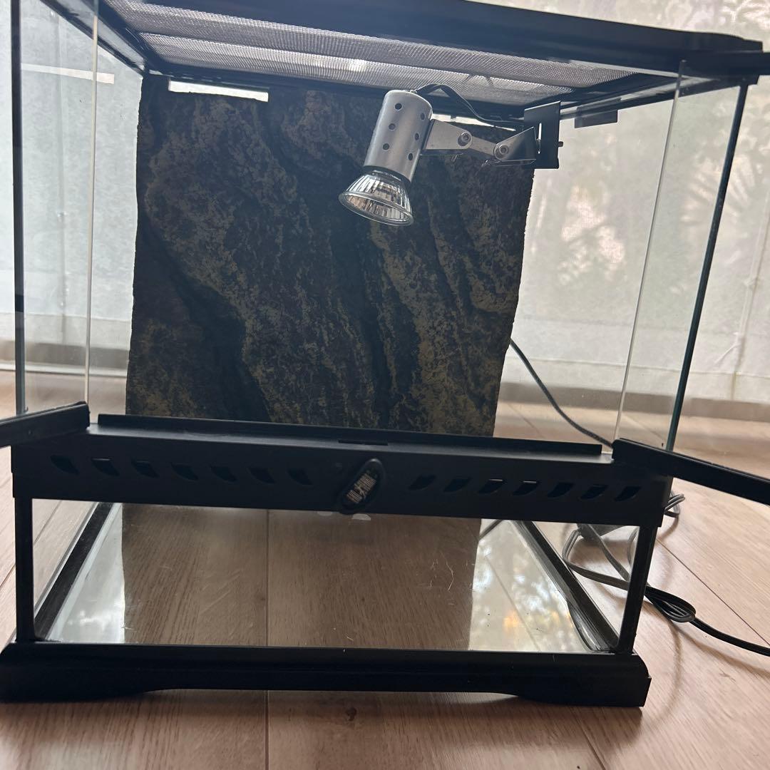 GEXグラステラリウム　3030 爬虫類飼育セット