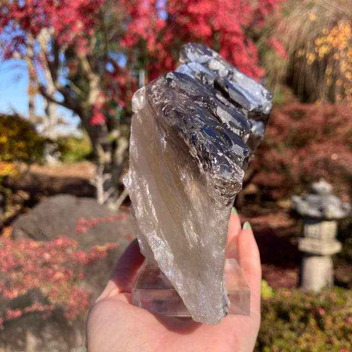 天然 シトリン エレスチャル 原石