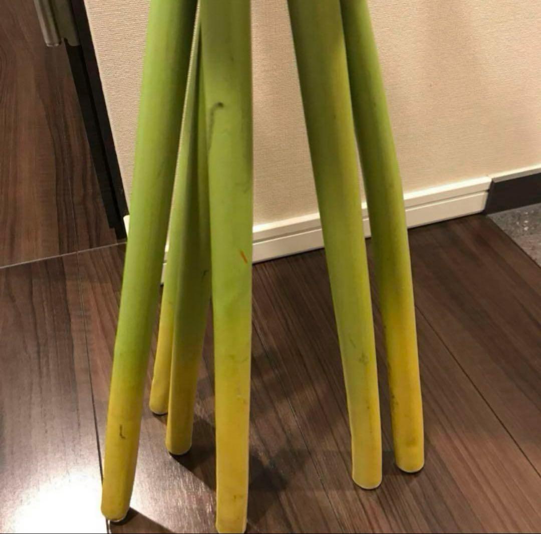 20点セット ❤︎ 新品 造花 HERVE GAMBS ＆ フランフラン