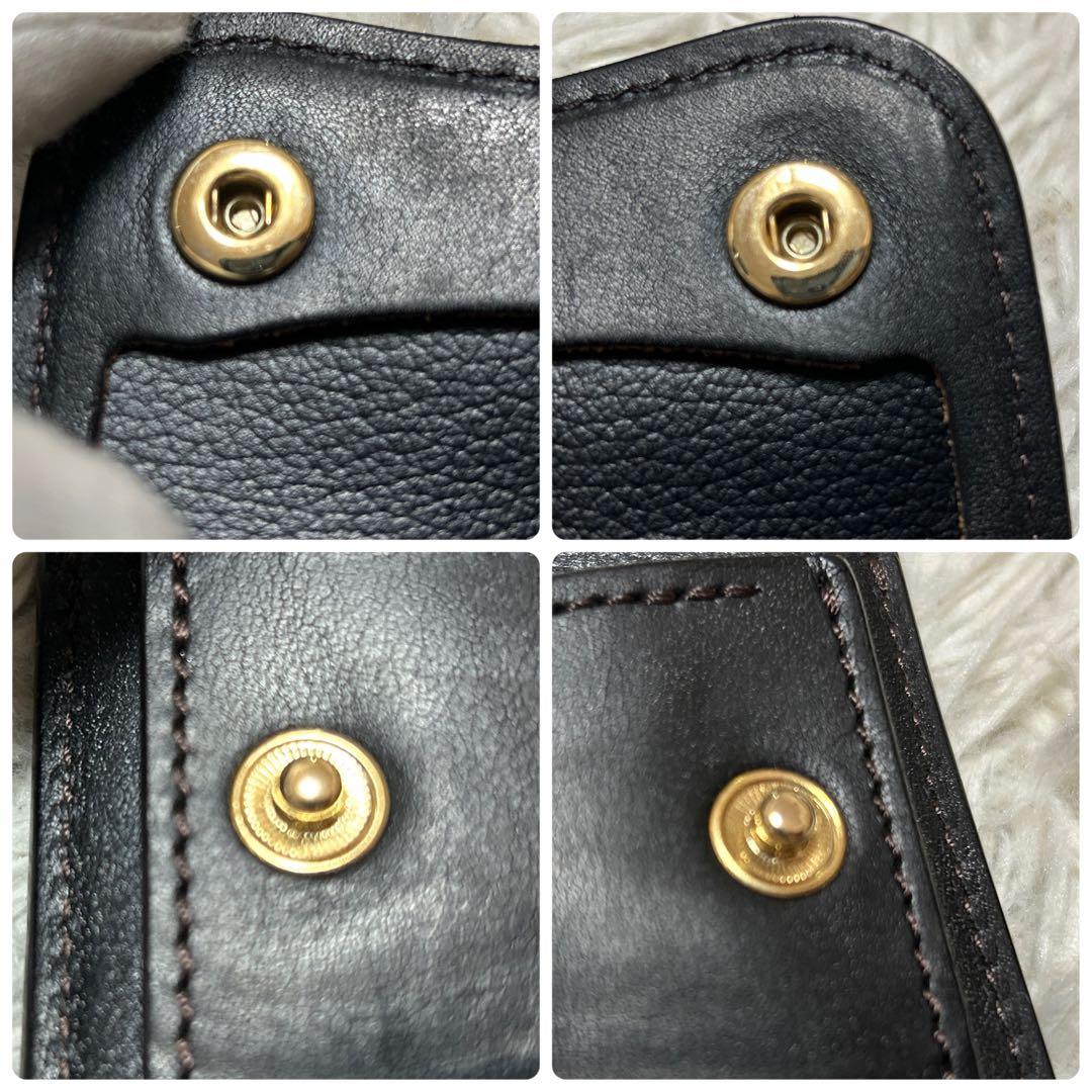 ⭐️極美品⭐️ワイルドスワンズ タング サドルプルアップ ケース メンズ 箱付