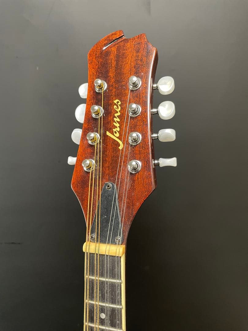 ジェームス James マンドリン JAM300BS ケース付き