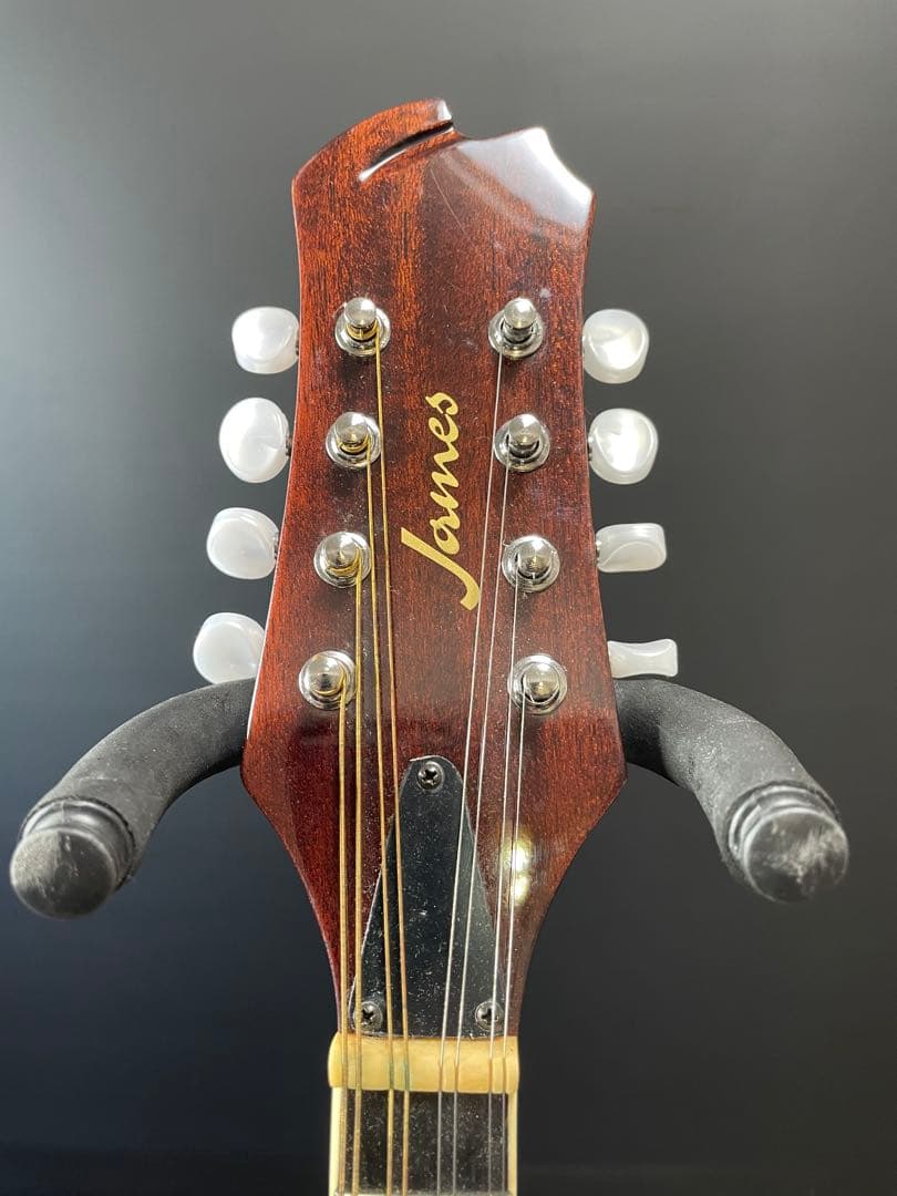 ジェームス James マンドリン JAM300BS ケース付き