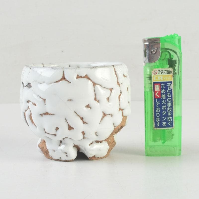 バラ　萩焼　三輪休雪造　盃　ぐい呑　共箱　V　9573