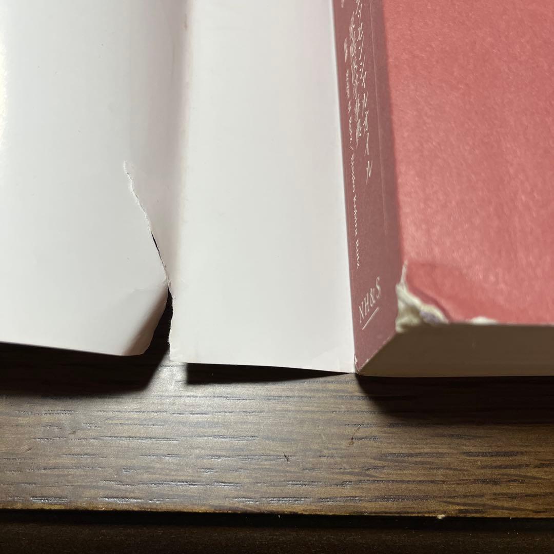 doTERRAアロマオイル　23本　木箱　辞典セット