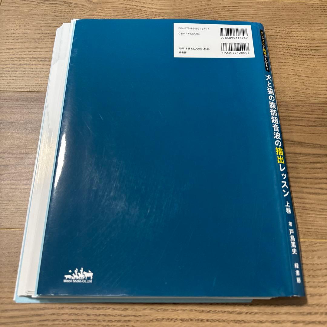 【裁断済み】ビジュアルと動画でわかる!犬と猫の腹部超音波の描出レッスン 上巻