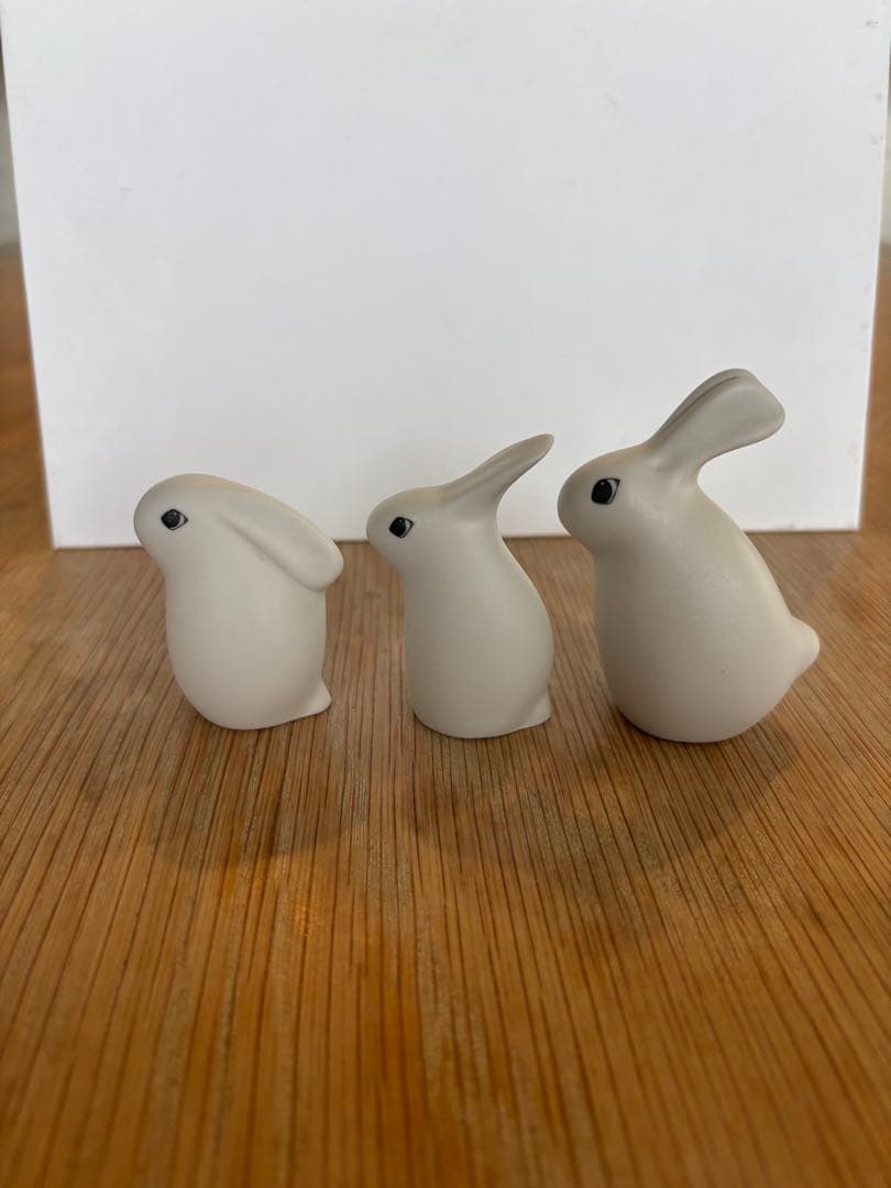 ARABIAヘルヤ バニー