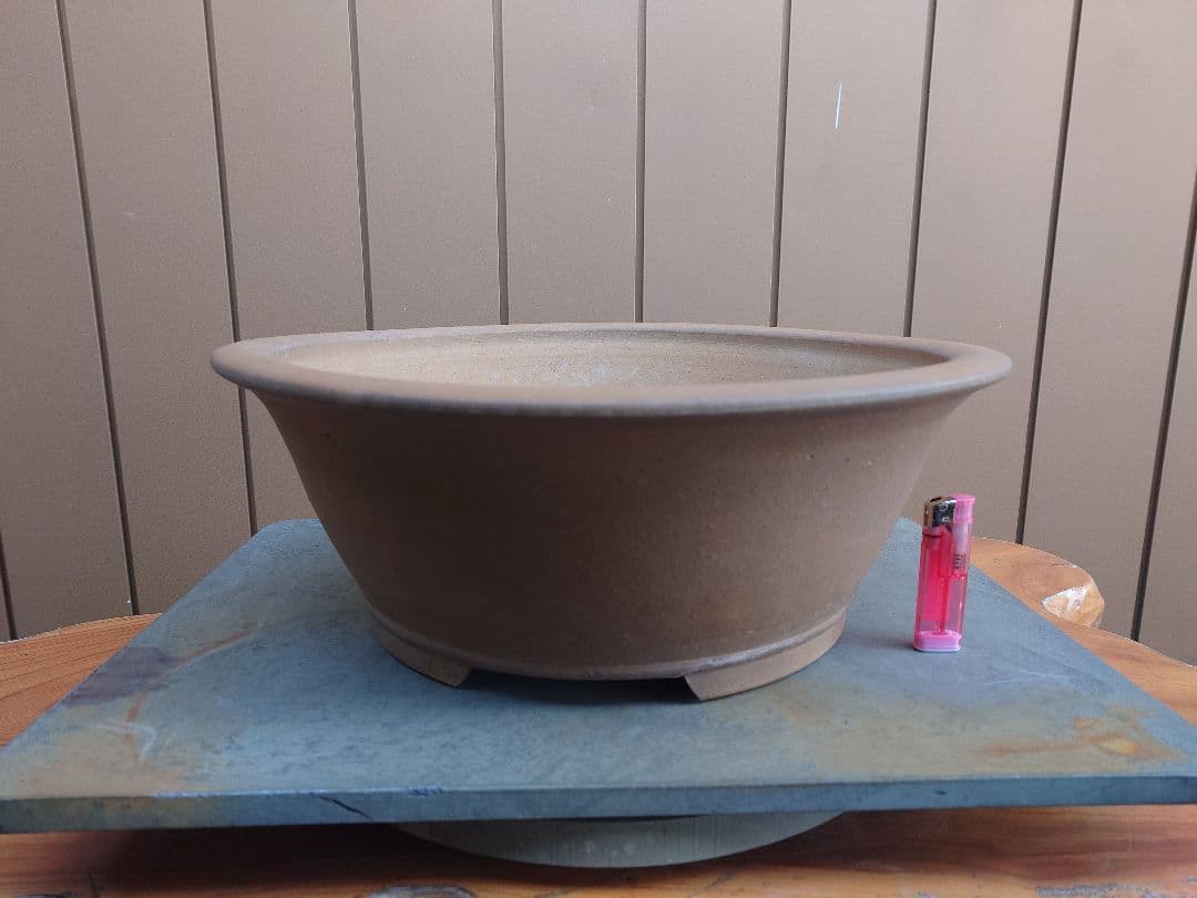 盆栽　鉢　勝山　直径41cm