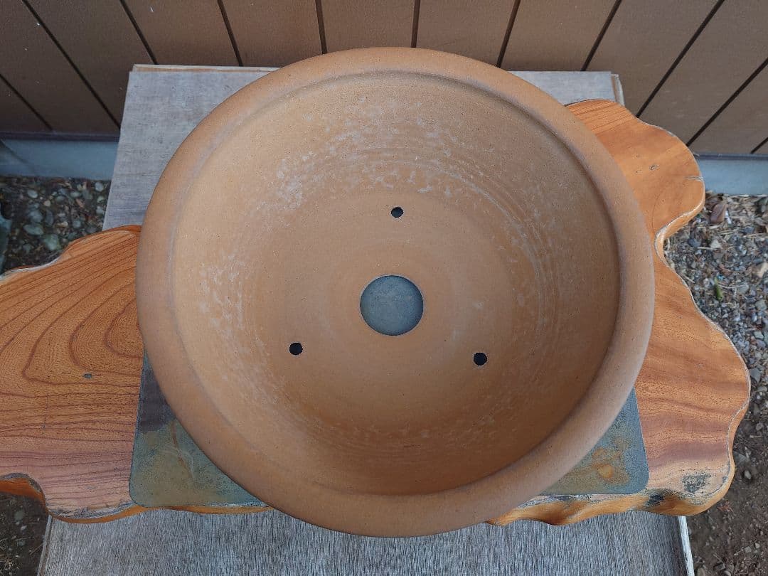 盆栽　鉢　勝山　直径41cm