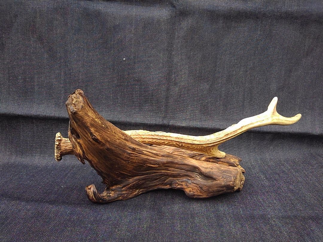 鮎の彫刻 鹿の角
