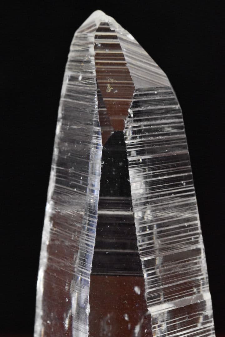 サンタンデール産 コロンビアレムリアン