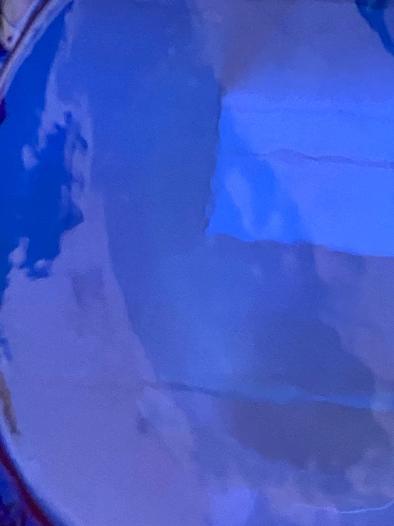 小澄正雄（Masao Kozumi）　型吹き硝子　花弁型瑠璃色bowl