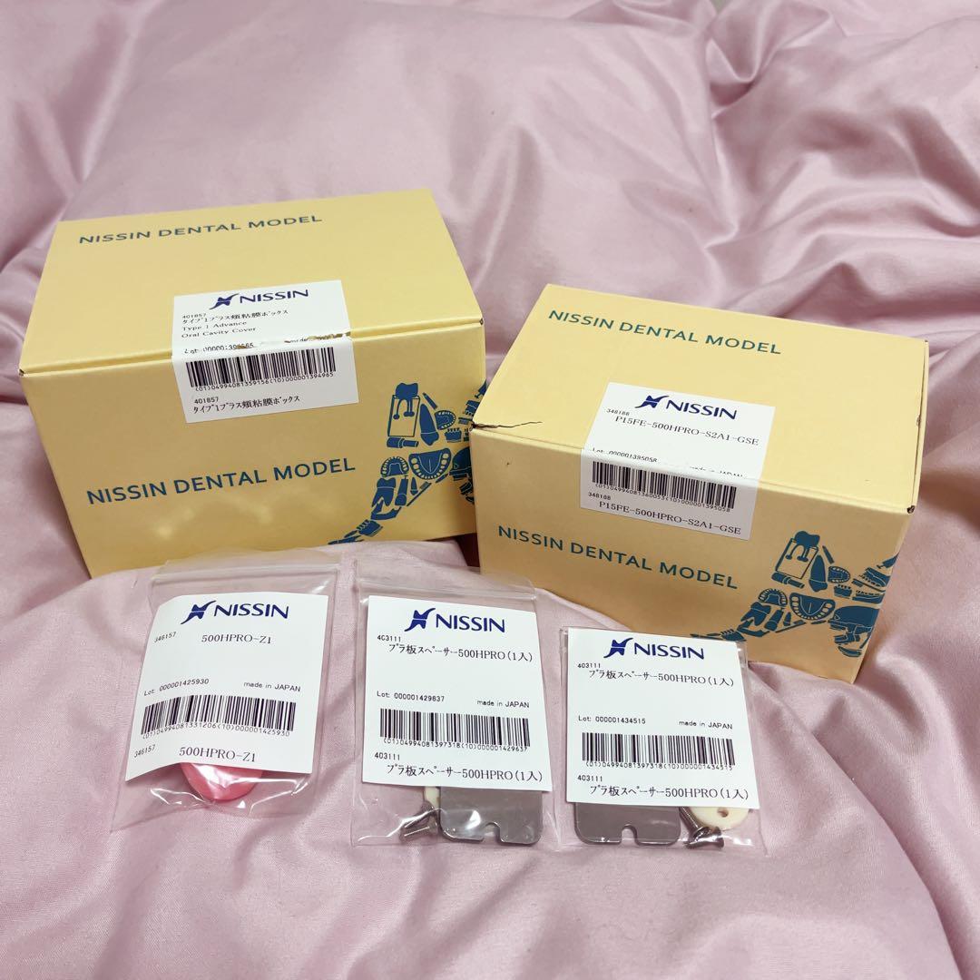 顎模型　顎粘膜ボックスフルカバー　歯科衛生士