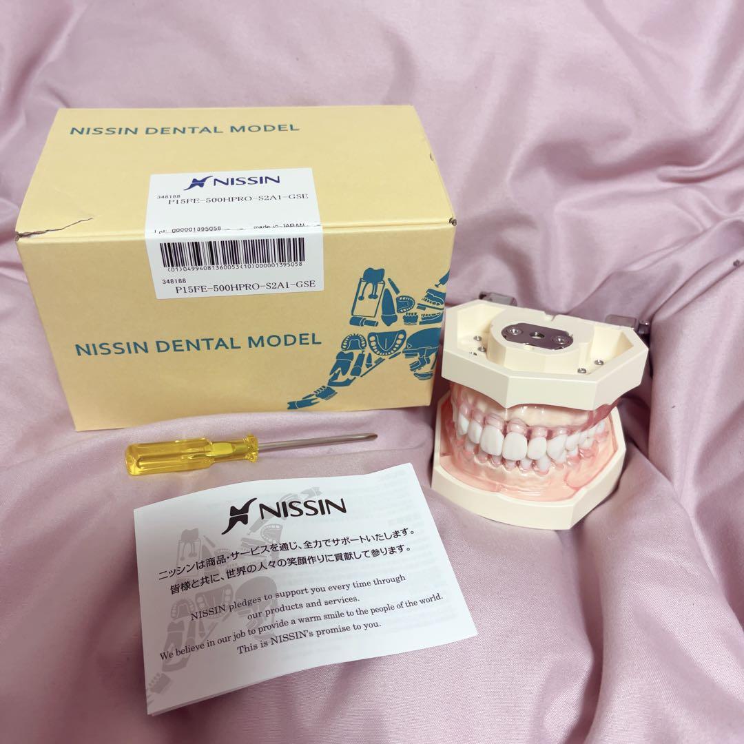 顎模型　顎粘膜ボックスフルカバー　歯科衛生士