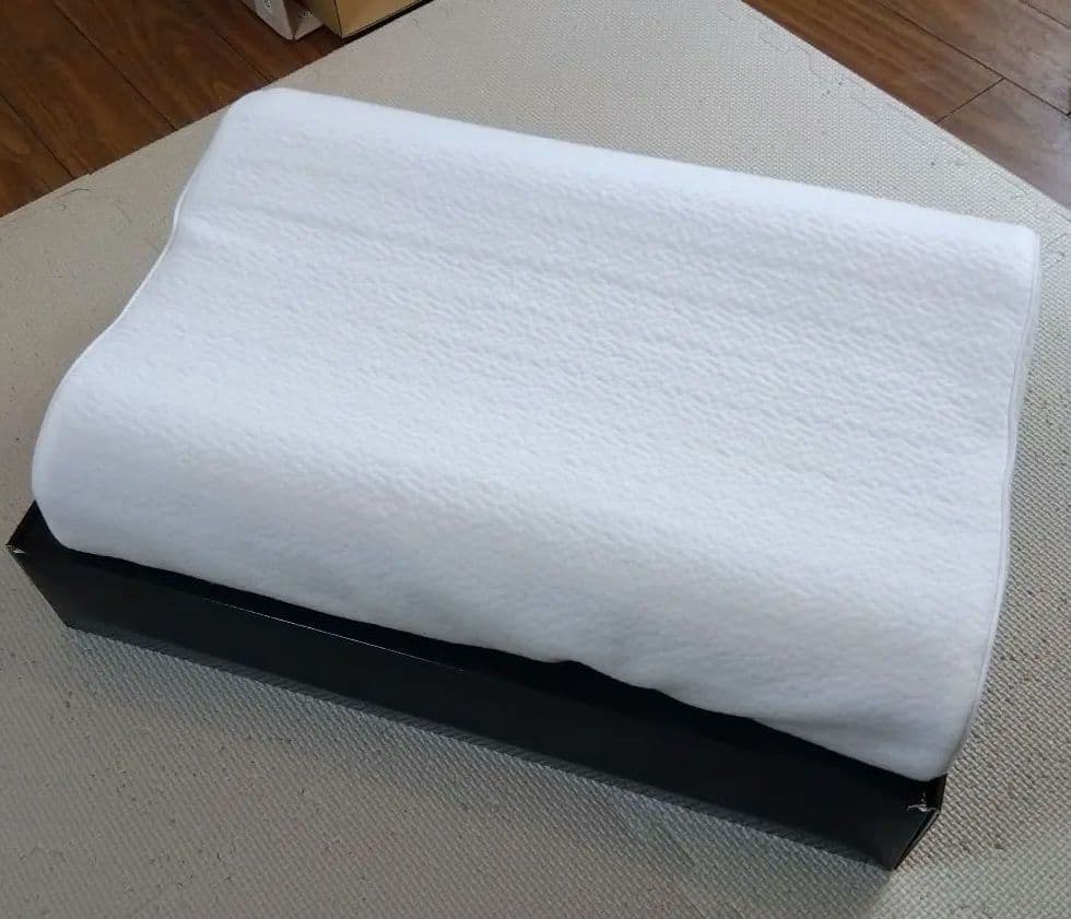 ヒツジのいらない枕 テンセル枕カバー付 至極