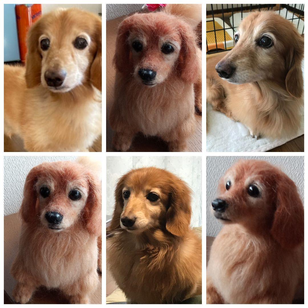 愛犬の羊毛フェルトオーダー・受付・わんちゃん