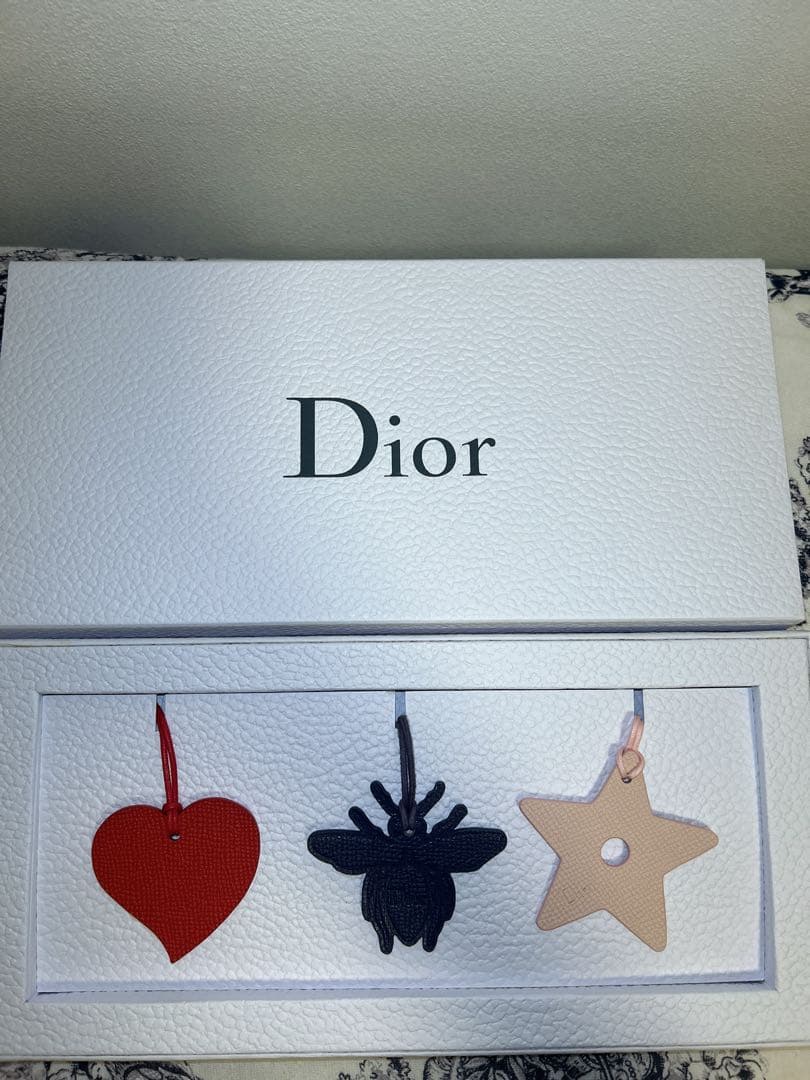 Dior ブックトート　ミディアム　おまけ付き