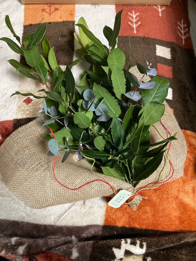 ロイヤルクラウンダービー　ロイヤルアントワネット　アフタヌーンティース