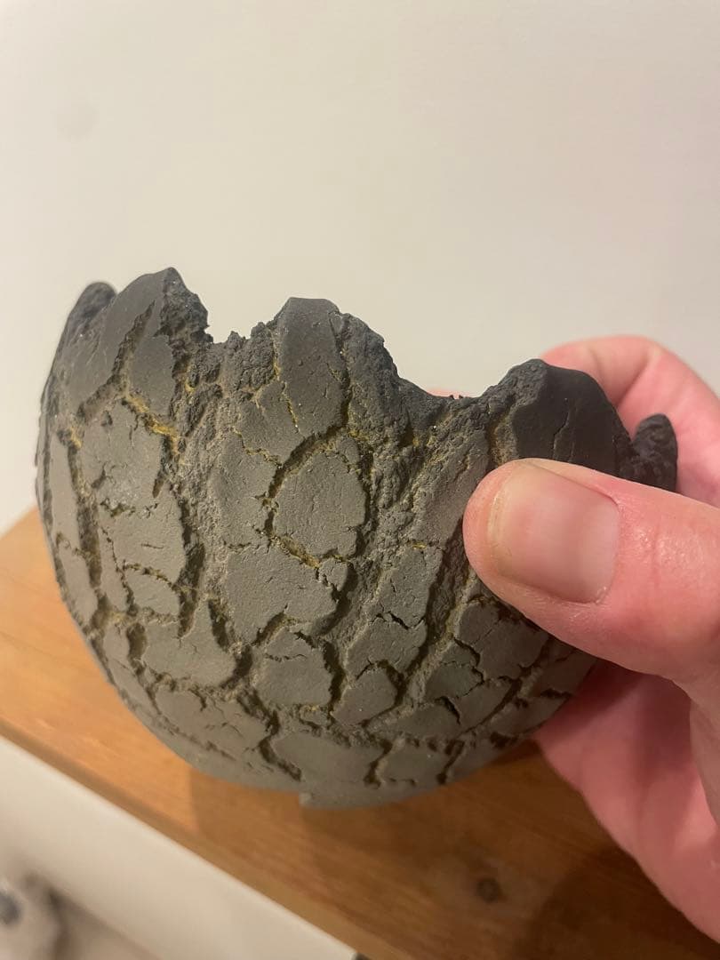 セキグチ　タカヒトOpot