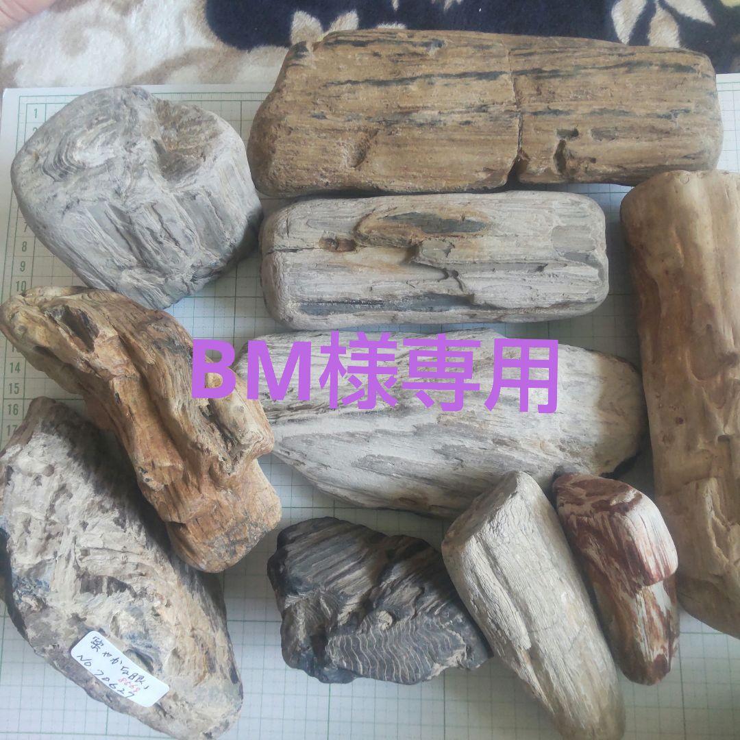 BM、珪化木セット