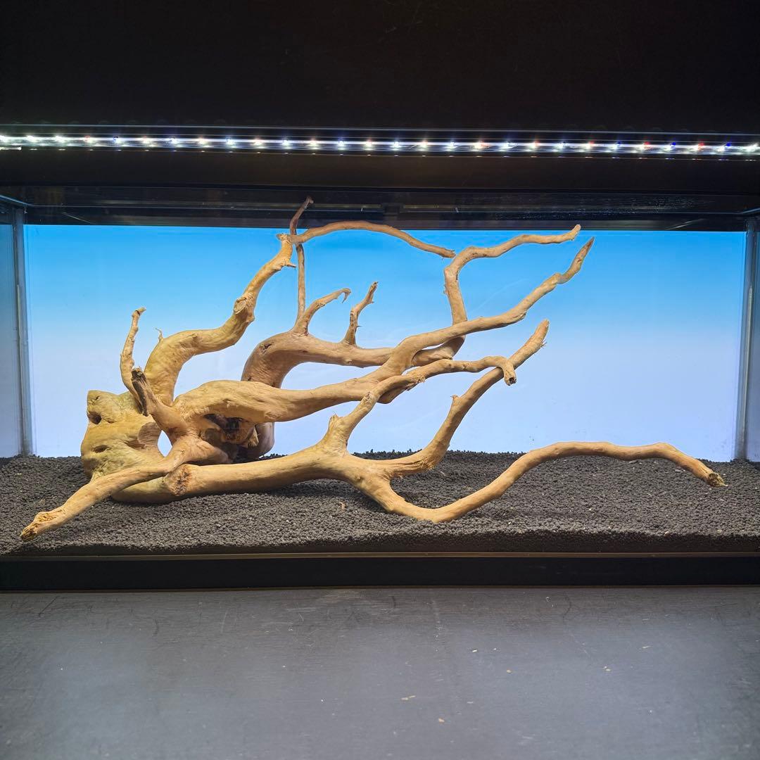 MDW-7102 ブランチウッド2本セット　流木セット　枝流木　アクアリウム