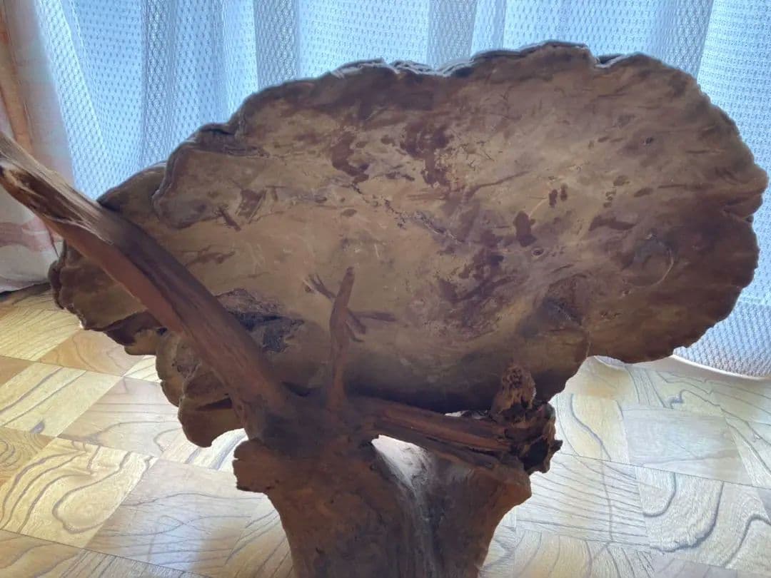 【幻サイズ】さるのこしかけ