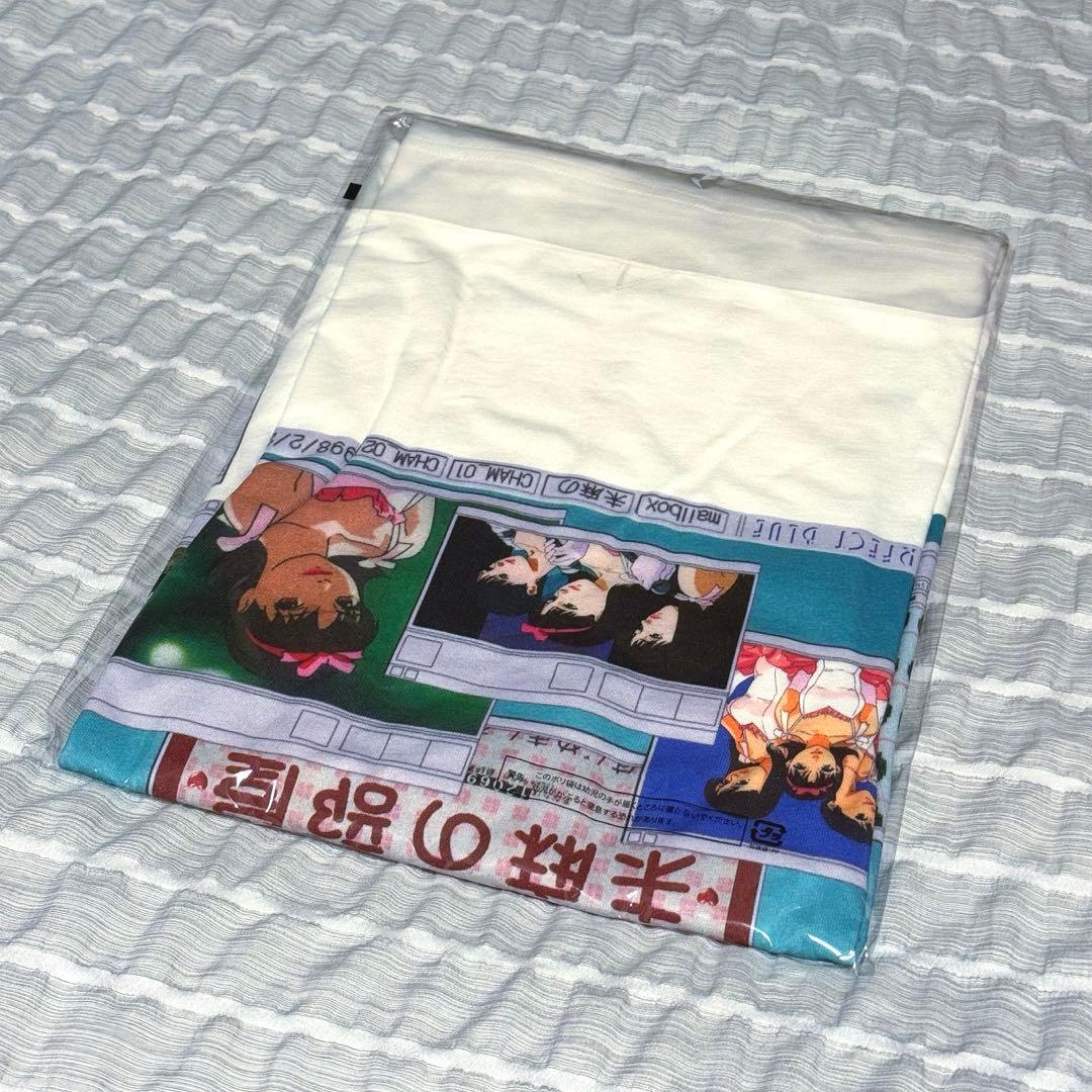 PERFECT BLUE パーフェクトブルー Tシャツ Lサイズ 未麻の部屋