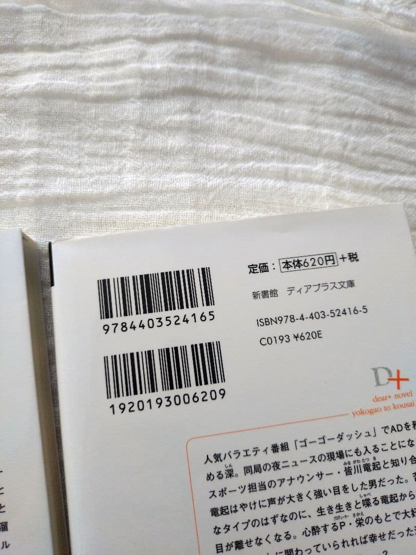 BL小説 イエスかノーか半分か シリーズ まとめ売り 一穂ミチ