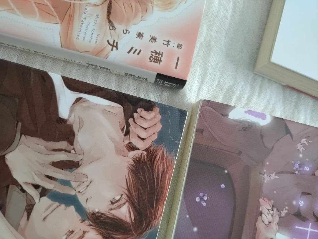 BL小説 イエスかノーか半分か シリーズ まとめ売り 一穂ミチ