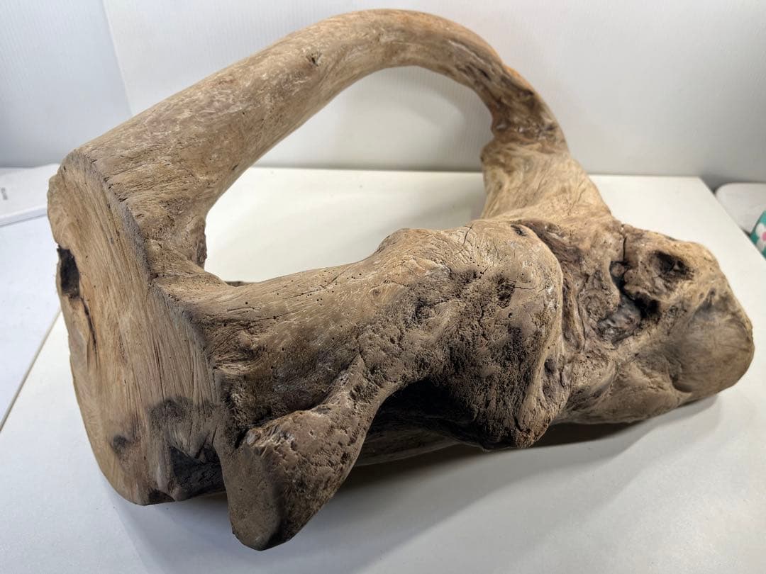 m10特大流木 アク抜き済み 爬虫類シェルター 登り木 インテリア オブジェ