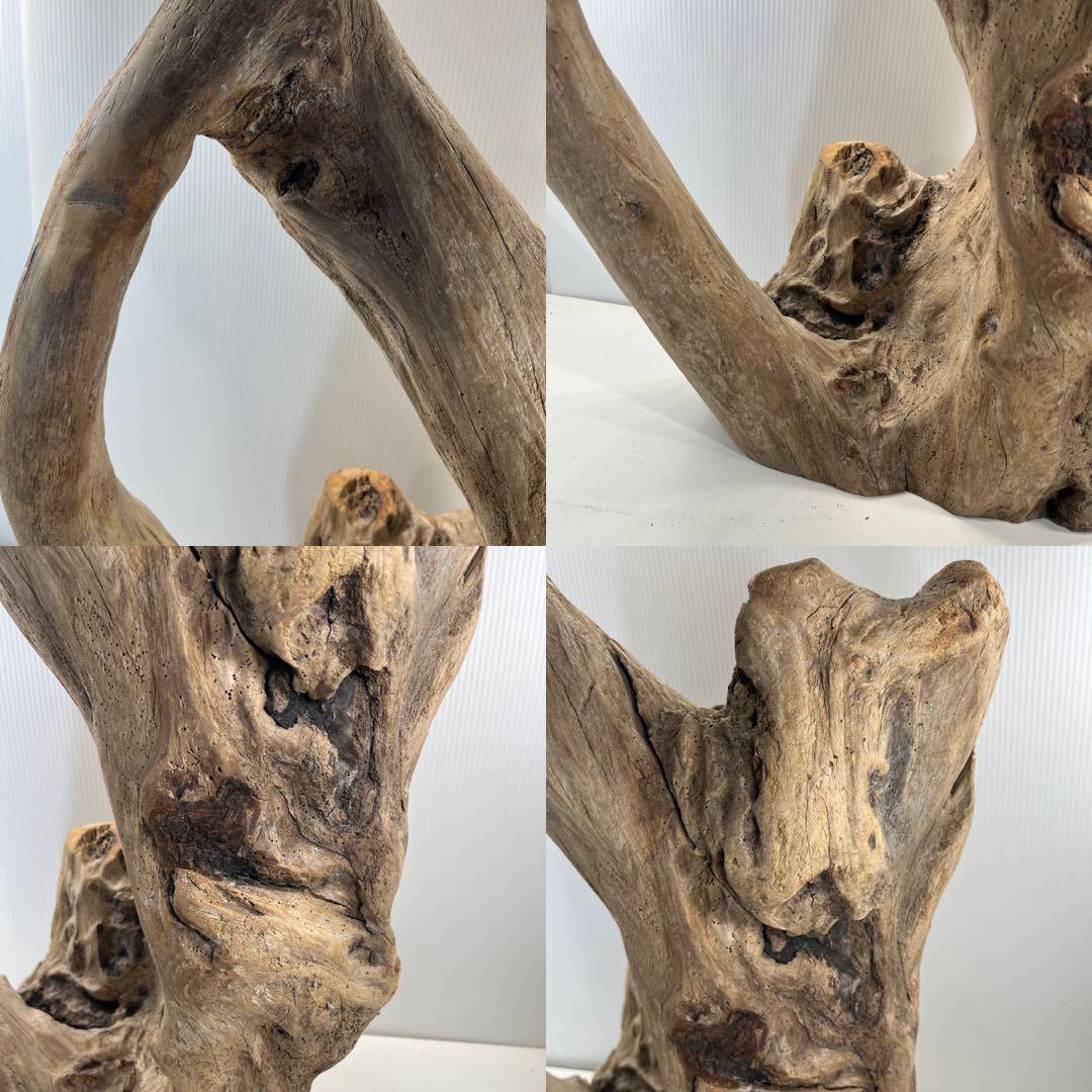 m10特大流木 アク抜き済み 爬虫類シェルター 登り木 インテリア オブジェ