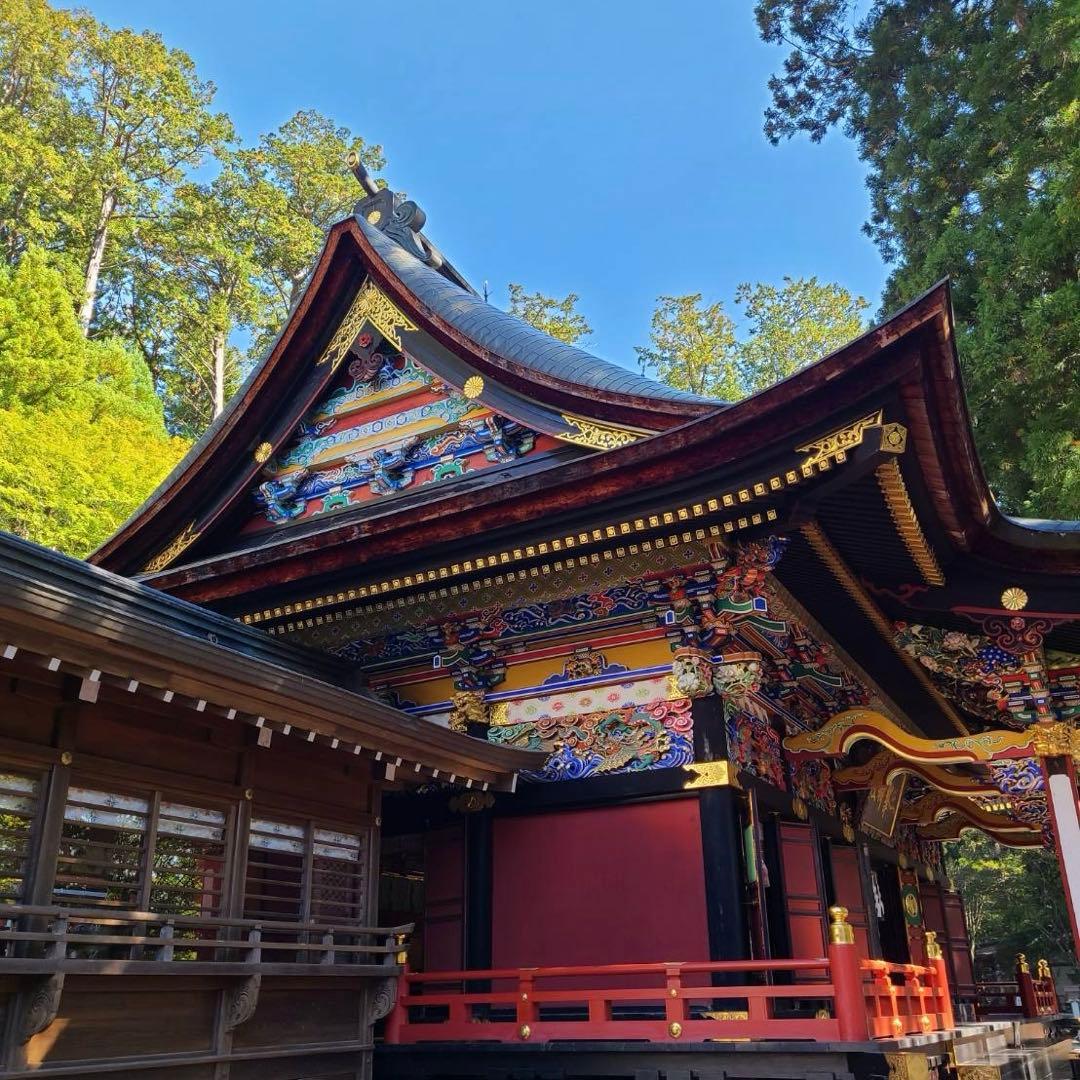 ニコネコ(1050円引き)