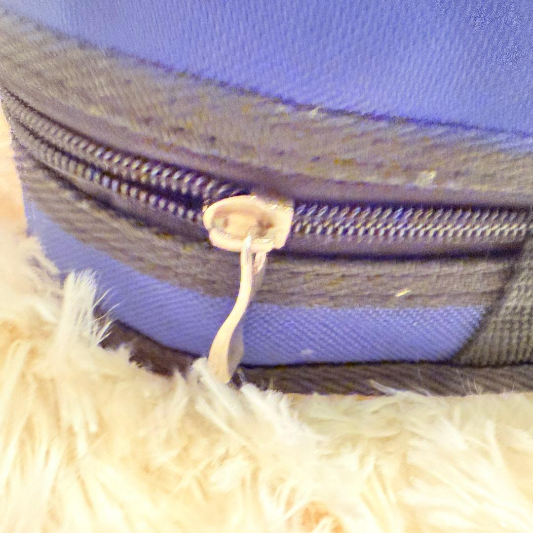 hallstatt ハルシュタット CV-210E エレキバイオリン 黒