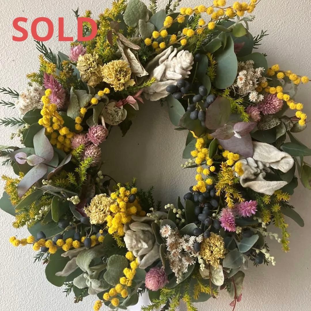 ミランドール産ミモザとピンク千日紅のリース　ラムズイヤー　ユーカリ　春待ち