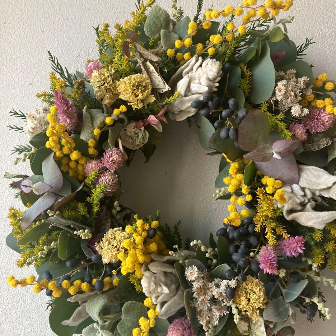 ミランドール産ミモザとピンク千日紅のリース　ラムズイヤー　ユーカリ　春待ち
