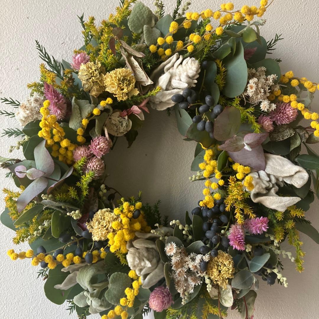 ミランドール産ミモザとピンク千日紅のリース　ラムズイヤー　ユーカリ　春待ち