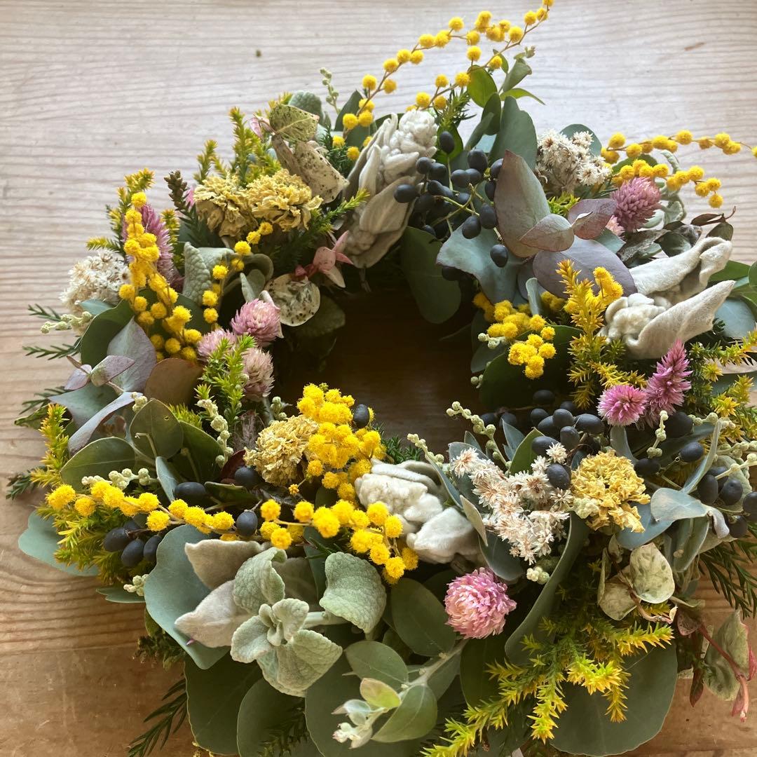 ミランドール産ミモザとピンク千日紅のリース　ラムズイヤー　ユーカリ　春待ち