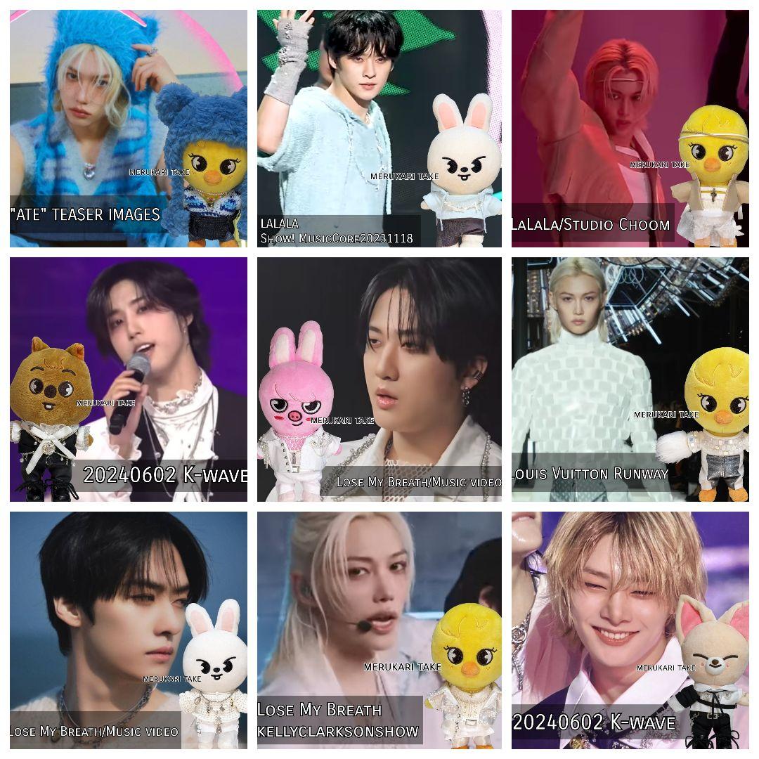 【skzooのお洋服屋さん】オーダー専用/オリジナルサイズorミニサイズ