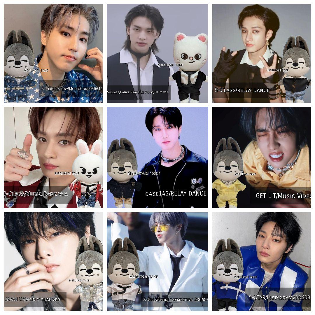 【skzooのお洋服屋さん】オーダー専用/オリジナルサイズorミニサイズ