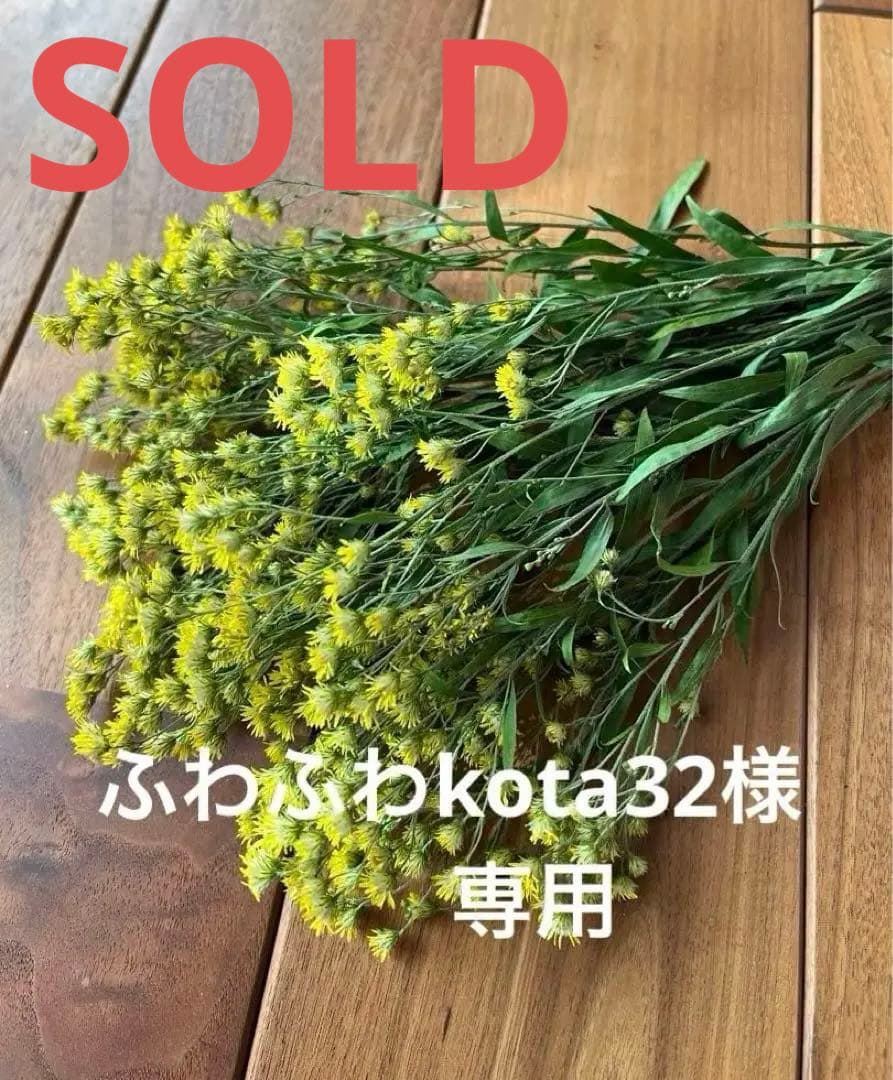 ふわふわkota32♡様　ソリダスター