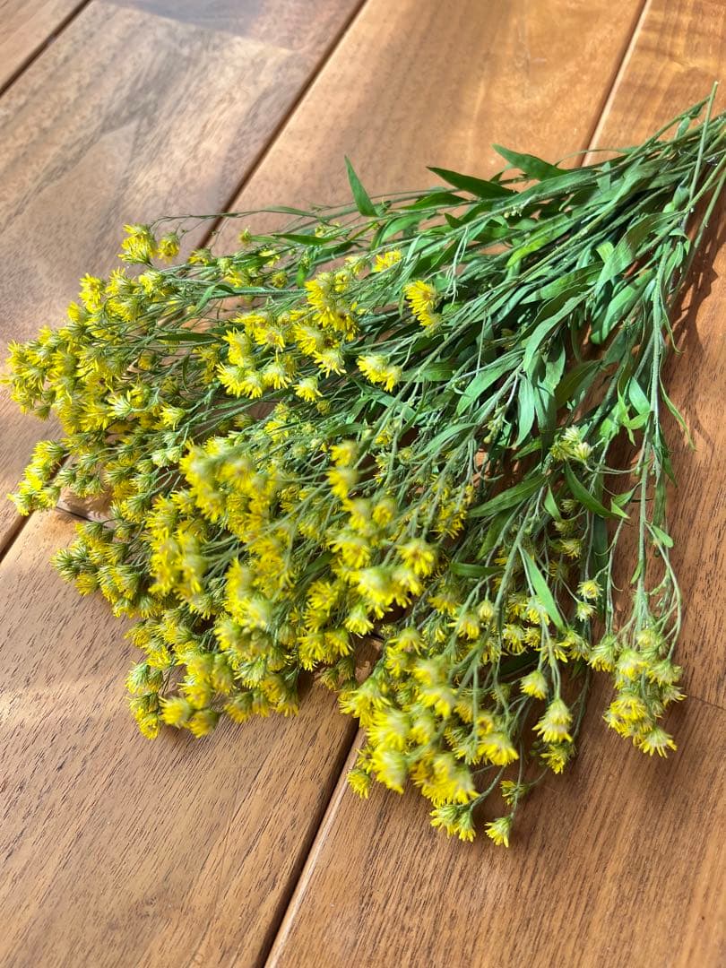 ふわふわkota32♡様　ソリダスター