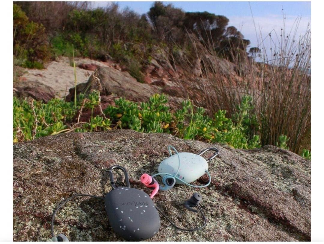 SURFEARS 4.0 サーフイヤー　音が聞こえる耳栓　Coral/