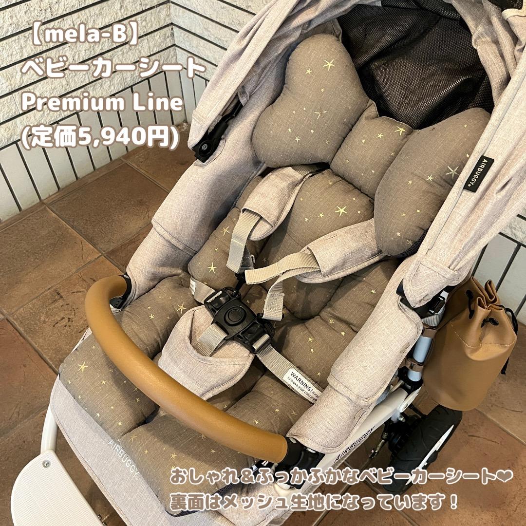 【美品・付属品充実】AIRBUGGY ココブレーキEX フロムバース