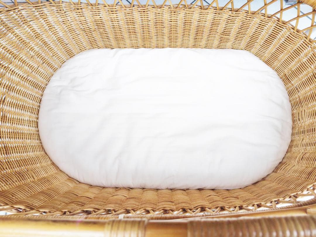 東京乳母車 プスプス ホワイトゴールド （安全フェンス、帆付き）