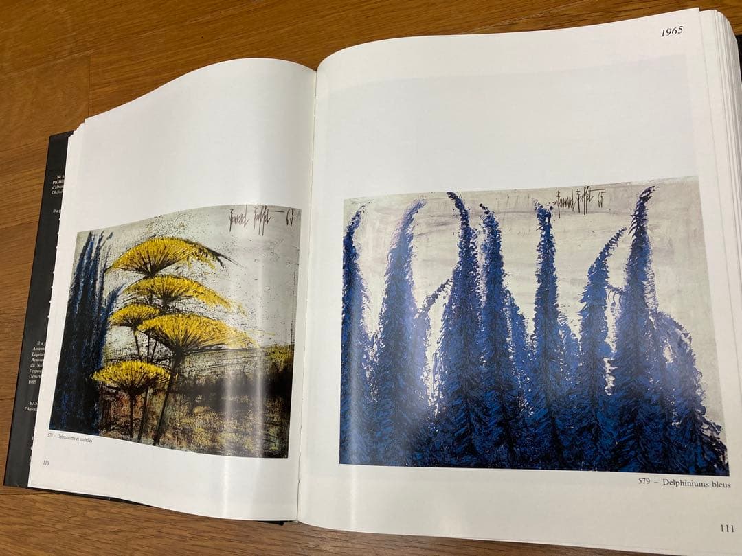 ベルナール・ビュッフェ　ボックス画集2冊組