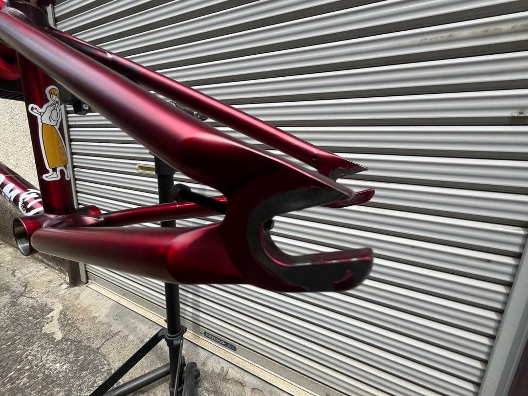 BMX フレーム BSD Freedom Frame 20.5