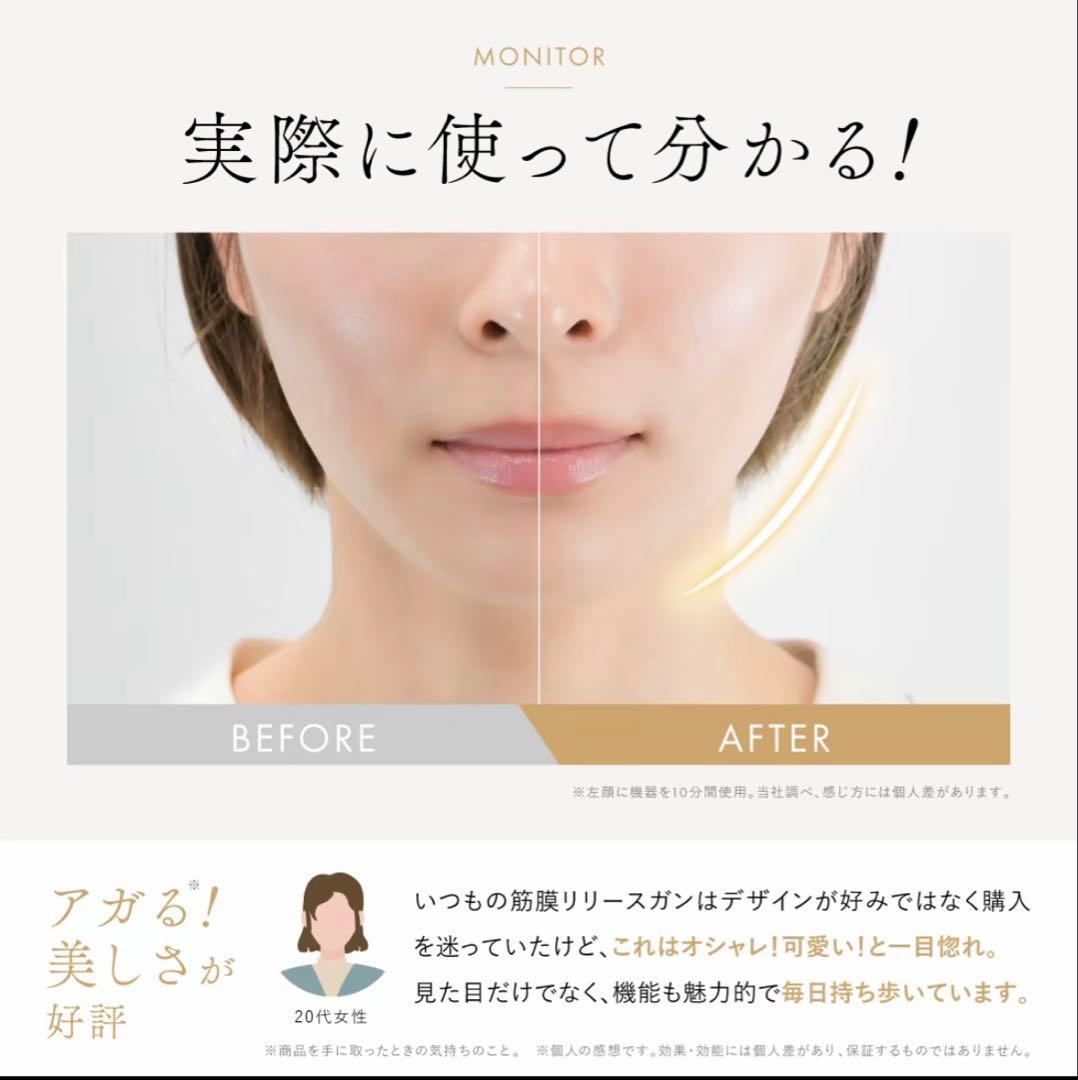 NIPLUX BEGUN 美顔器 フェイスポイントガン 筋膜リリースガン