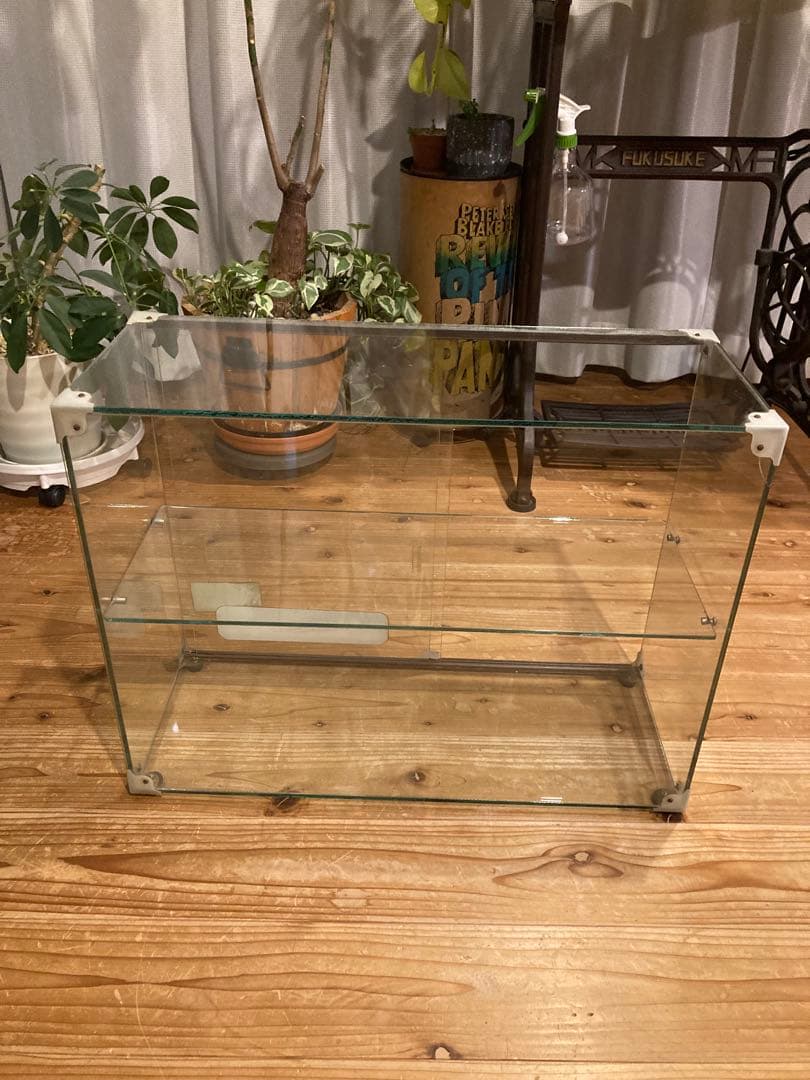 昭和レトロ　ガラスショーケース中棚1段　やまさ製茶　背面引戸